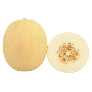 Mridula - Known You Seed (India)